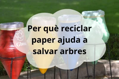 reciclar paper ajuda a salvar arbres