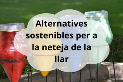 alternatives sostenibles neteja llar